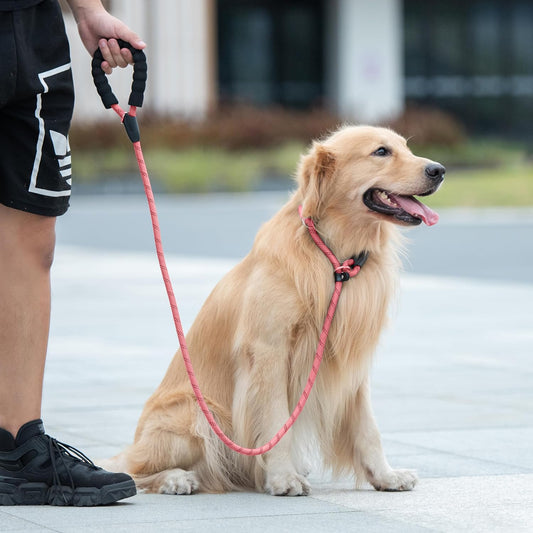 Durable Slip Lead Dog Leash with Padded Handle and Highly Reflective Threads, No Pull Dog Training Leash, (3/8" X 6 FT, Baby Pink)