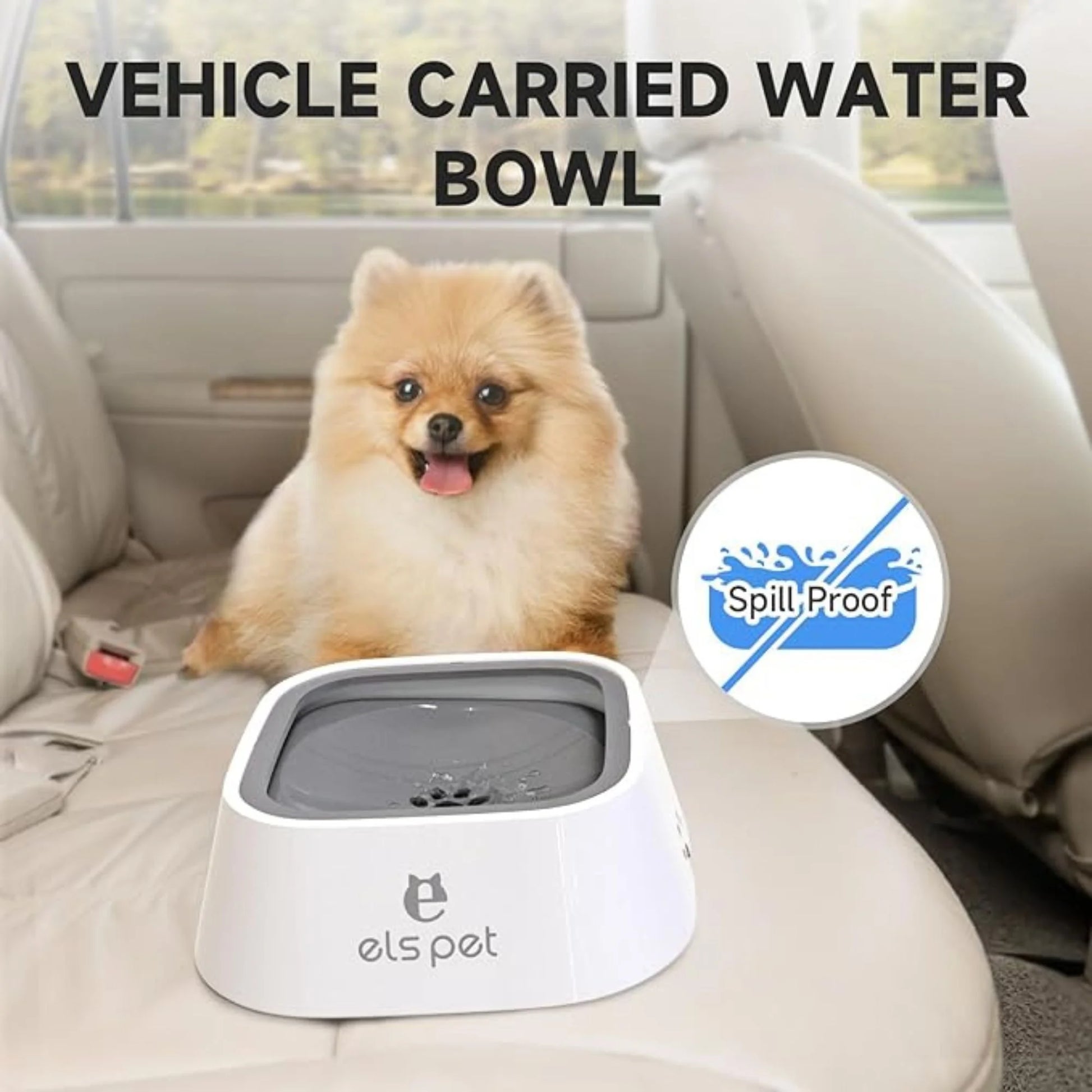 Floating Bowl 1L