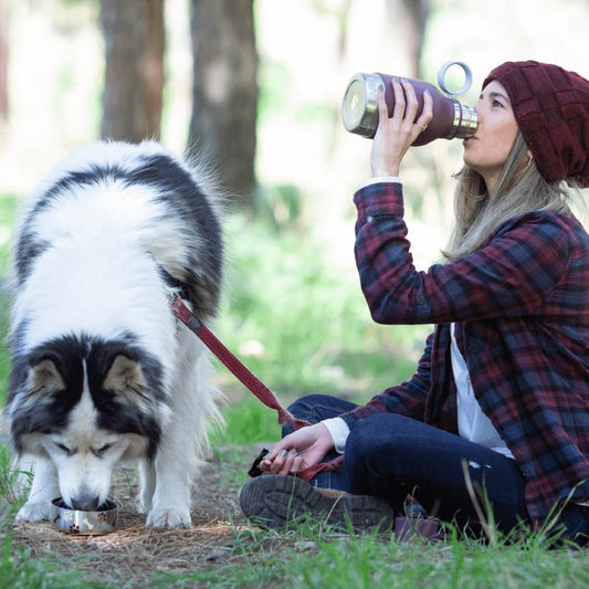 Buddy Bottle a Stainless Steel Insulated Water Bottle for with Removable Dog Water Bowl and Dog Food and Treat Storage Bowl (Burgundy, 37 Oz Water Bottle with Bowl)