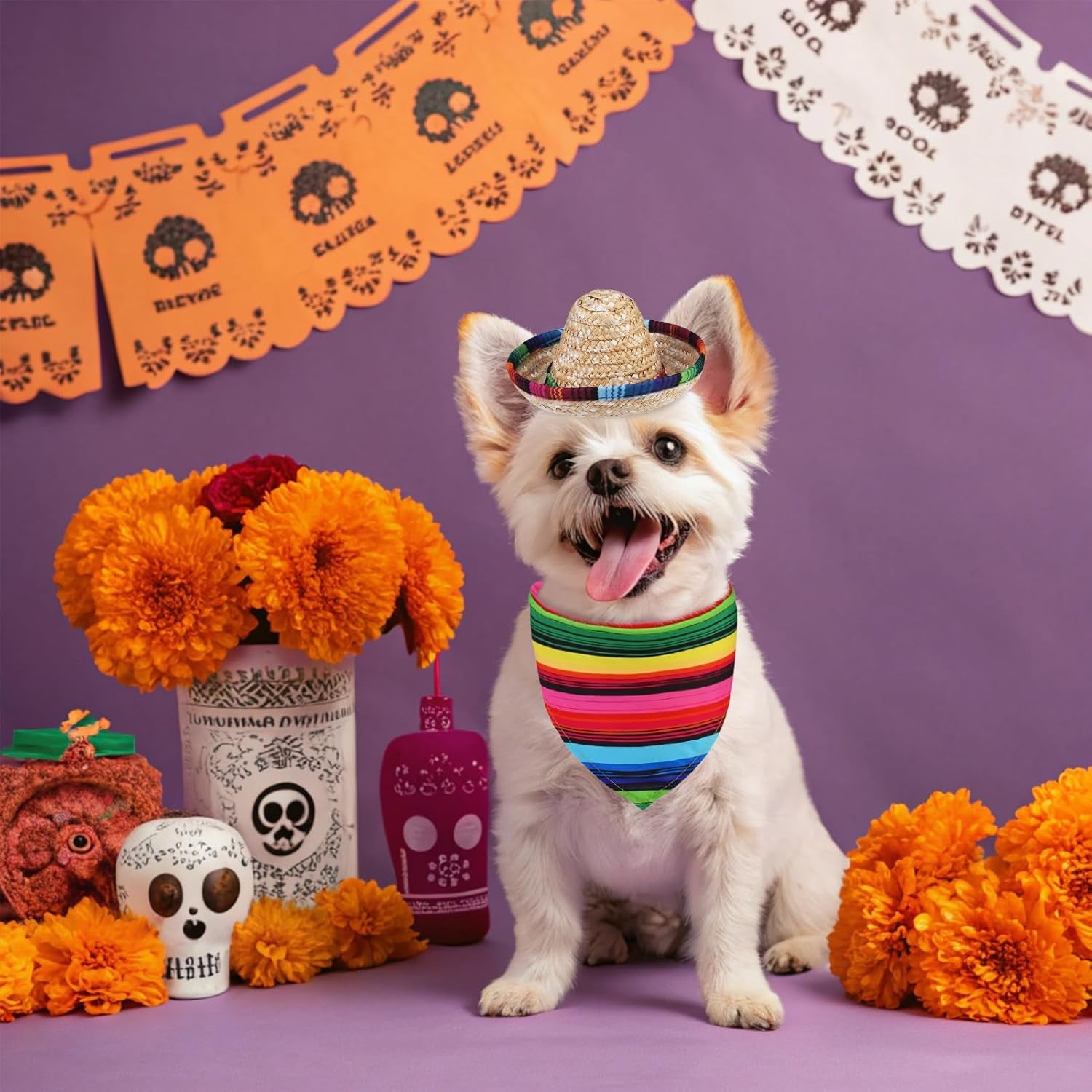 Mexican Day of the Dead Dog Bandana Outfit Scarf with Cute Doggy Sombrero Hat, Halloween Costumes Decorations Supplies for Small Medium Large Dogs Boy Girl Gifts, Colorful