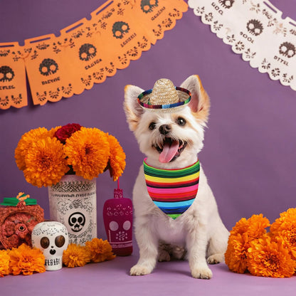 Mexican Day of the Dead Dog Bandana Outfit Scarf with Cute Doggy Sombrero Hat, Halloween Costumes Decorations Supplies for Small Medium Large Dogs Boy Girl Gifts, Colorful